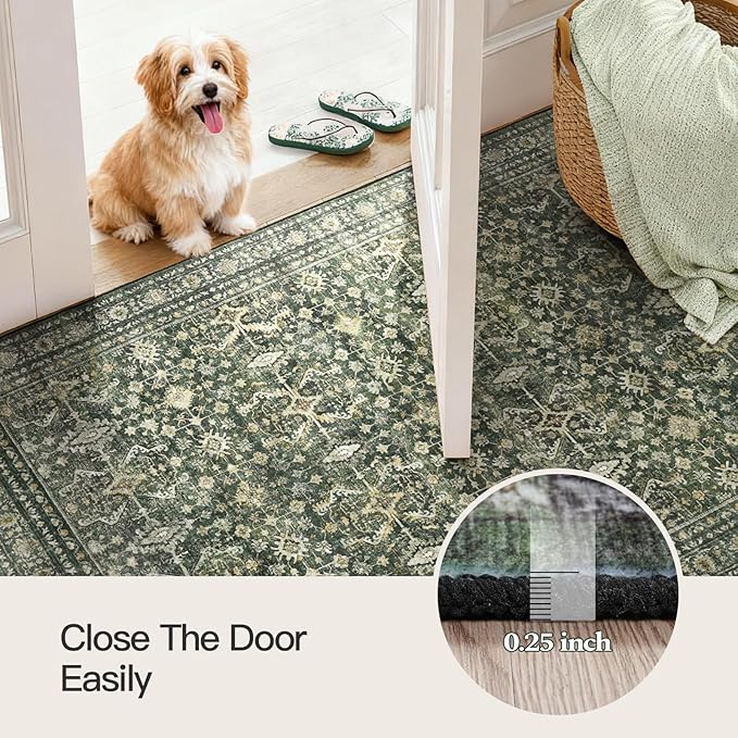 Lofus 3x5 Area Rug for Entryway, Green Non Slip Area Rugs for Kitchen, Washablee Soft Rugs for Bedroom, Living Room, Tool Room Nursery Kids Room Decor