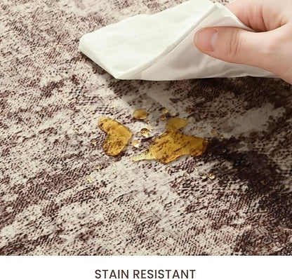 Entryway Rug 3x5 Brown Bedroom Area Rug Washable Non Slip Abstract Coffee Boho Rugs for Indoor Entry, Kitchen, Classroom, Bathroom, Kids Girls Room, Office, College Dorm Small Carpet
