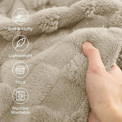 Bedsure GentleSoft Blankets Queen Size for Bed - Super Soft Cozy Blanket for Kids Girls, Large Fuzzy Fleece Throw for Bedroom Decor, Neutral, 90x90 Inches