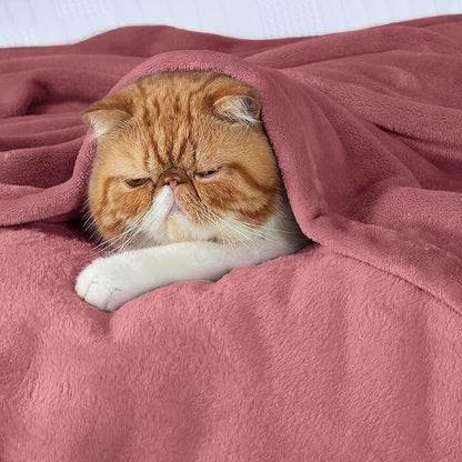 Bedsure GentleSoft Fleece Bed Blankets Queen Size Dusty Rose - Soft Lightweight Plush Fuzzy Cozy Luxury Blanket Microfiber, 90x90 inches
